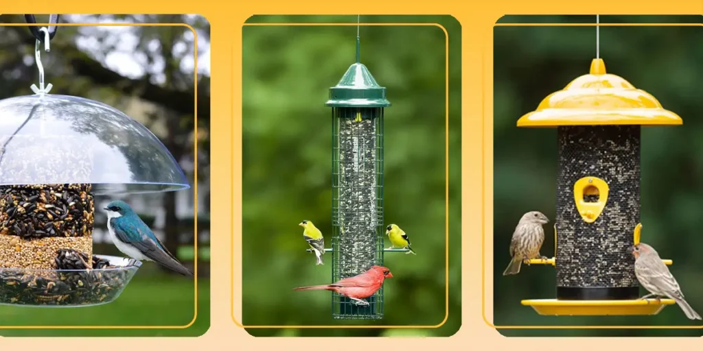 Maximize Bird Watching: The Best Feeders for Your Yard